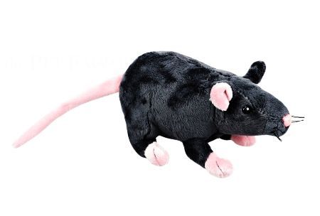 Kuschel Ratte schwarz